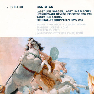 Lasst uns sorgen, lasst uns wachen, BWV 213: Aria: Ich will dich nicht horen (Alto)