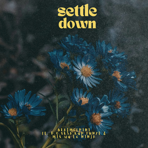 SETTLE DOWN (Instrumental Version)