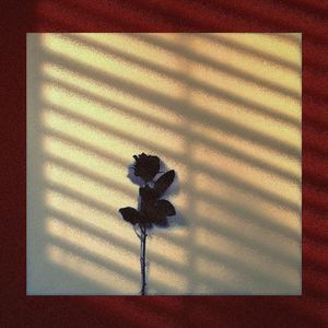 痛2021（Prod.Trai5or)