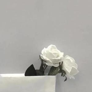 会偶尔想起的人