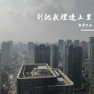 别把我埋进土里