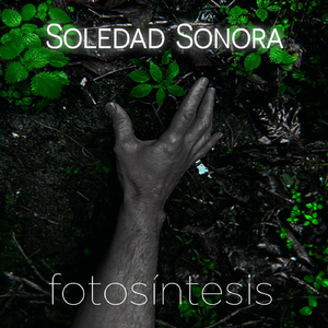 Fotosintesis