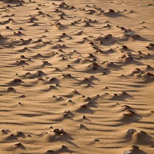 Iterate (postpandemix)