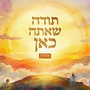 תודה שאתה כאן