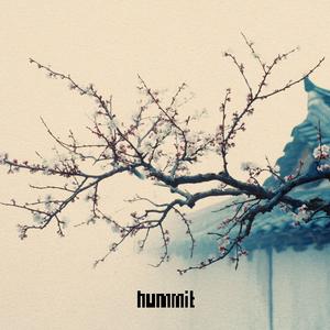 해금의 눈물 (weeping strings)