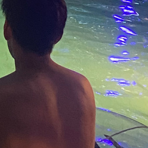 ファーストペンギン