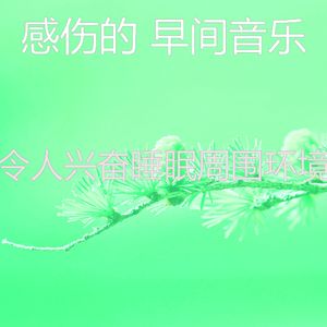 抚慰的起来回忆