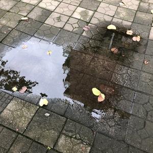 爱你（架子鼓）