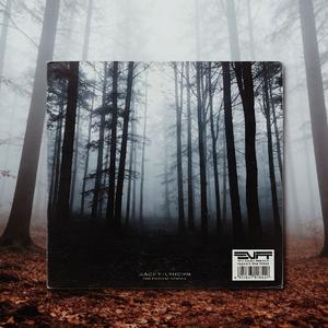 说了再见（钢琴版）