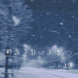 那夜冬起心又凉