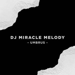 DJ MIRACLE MELODY (Remix)