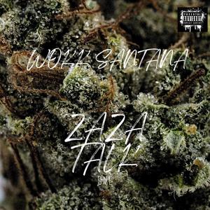 zaza talk