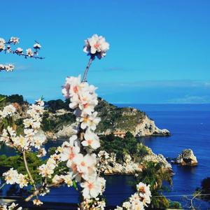 Lewis Capaldi-Someone You Loved（GBLMUZ remix）