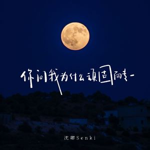 你问我为什么顽固而专一