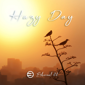 Hazy Day