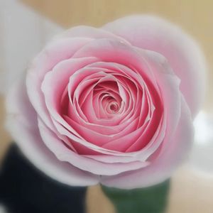 没戏pass (Prod by Rhythm 5)