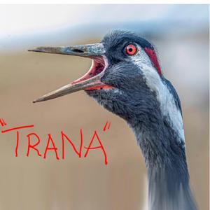 Trana