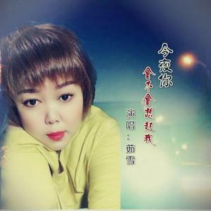 今夜的你会不会想起我（茹雪）