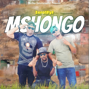 Mshongo