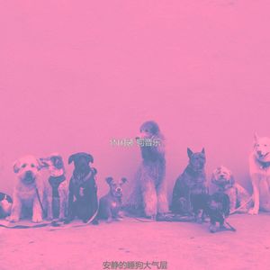 柔和的可爱的狗时刻