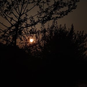 歌声与微笑(伴奏DJ)