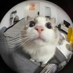 Kiss It Better (Sped Up)