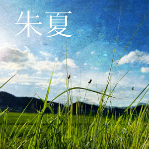 朱夏