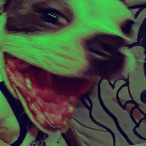 DEMENTE (feat. Qmayb)