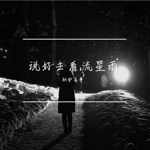 狮子座流星雨