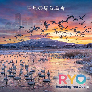 白鳥の帰る場所