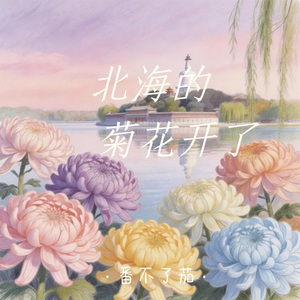 北海的菊花开了