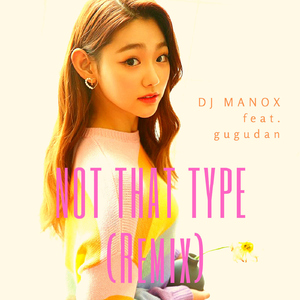 Not That Type (Remix) (feat. gugudan)