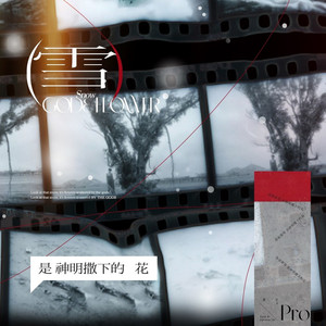 雪是神明撒下的花 (DJHZ版)