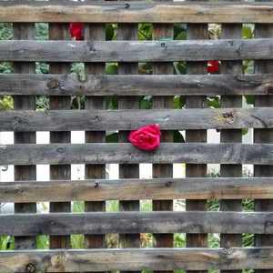 取暖（Cover 张国荣）