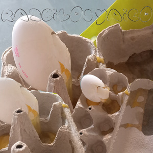 Разбилось яйцо