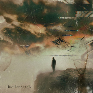 I dont know how to fly