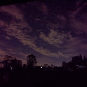 我在昨天的梦里又看见了你