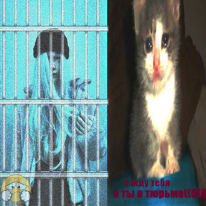 я жду тебя а ты в тюрьме((0(0