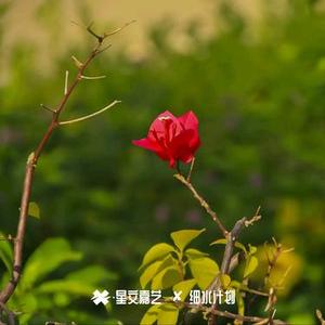 哪位啊閣下