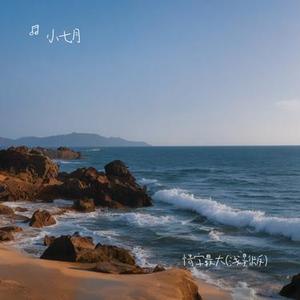 情字最大 (浅影版)