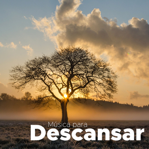 Música para la Ansiedad