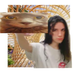 é tão sem graça hoje em dia