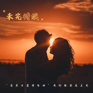 未完待续