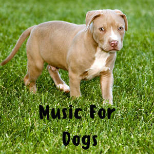 Music For Dogs