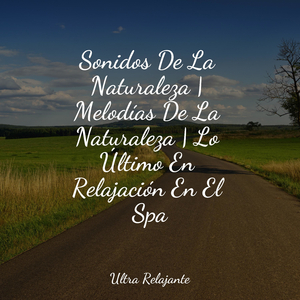 Tiempo Contigo