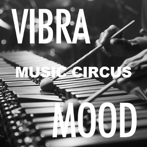 あなたの好きなところ (Vibraphone Cover)