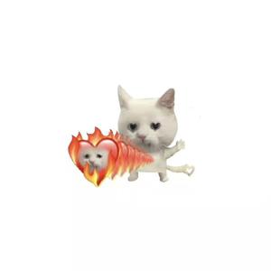 2022.03.30-02.21.41-上午_2022-03-30_023549