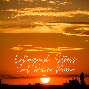 I Don't Need the Stress