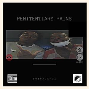 PENITENTIARY PAINS