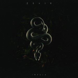 Zehir